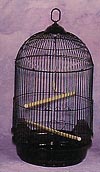 1560 series cages